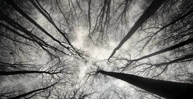 Wahnsinn in Film und Spiel