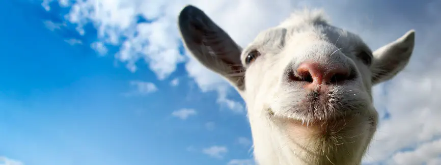 Goat Simulator
